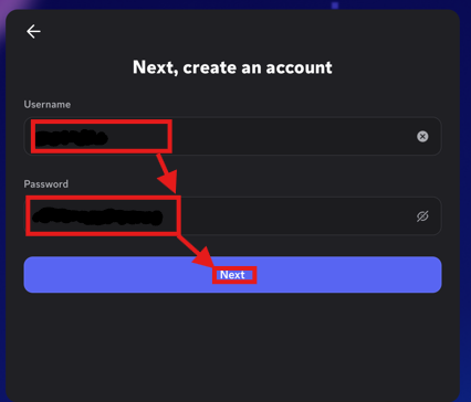 Discord username and password screen